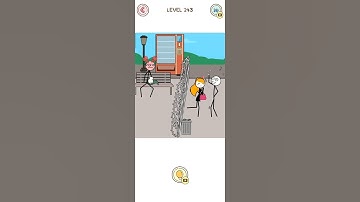 Thief puzzle level - 243