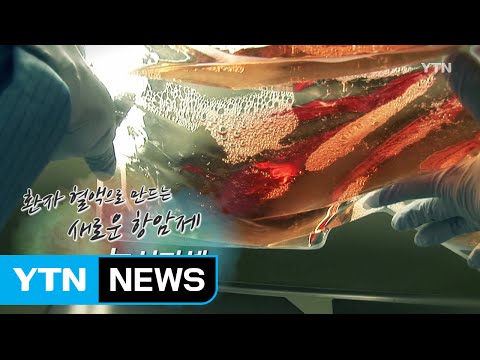 [강소기업이 힘이다] 환자 면역세포로 치료하는 새로운 항암제, 녹십자셀 - 89회  / YTN (Yes! Top News)