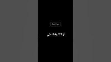 #فتبسم_ضاحكاً_من_قولها  #ايات_قرانيه_قصيره #سورة_النمل #اسلام_صبحي #تلاوة_خاشعة