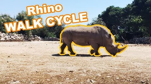 Rhinoceros slow walk side view, animation reference 4K
