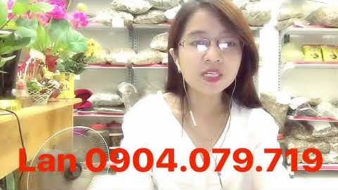 Cây thuốc nam #35: LÁ PHAN TẢ DIỆP SỬ DỤNG LÂU DÀI CÓ ĐƯỢC KHÔNG?