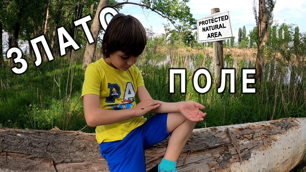 Мы разбиваем лагерь на охраняемой территории с НИТРИКАМИ, ЛЕБЕДЯМИ и СКАРАБАМИ!