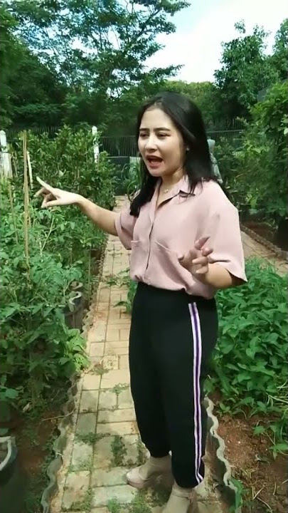 Kalian Yang Mau Sayuran Dan Buah2an Tinggal Kerumah Prilly Semuanya Ada Komplit