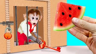 Smart Monkey Bi Bon Escape Jail and eat watermelon with puppy and duckling | Animals Home Monkey