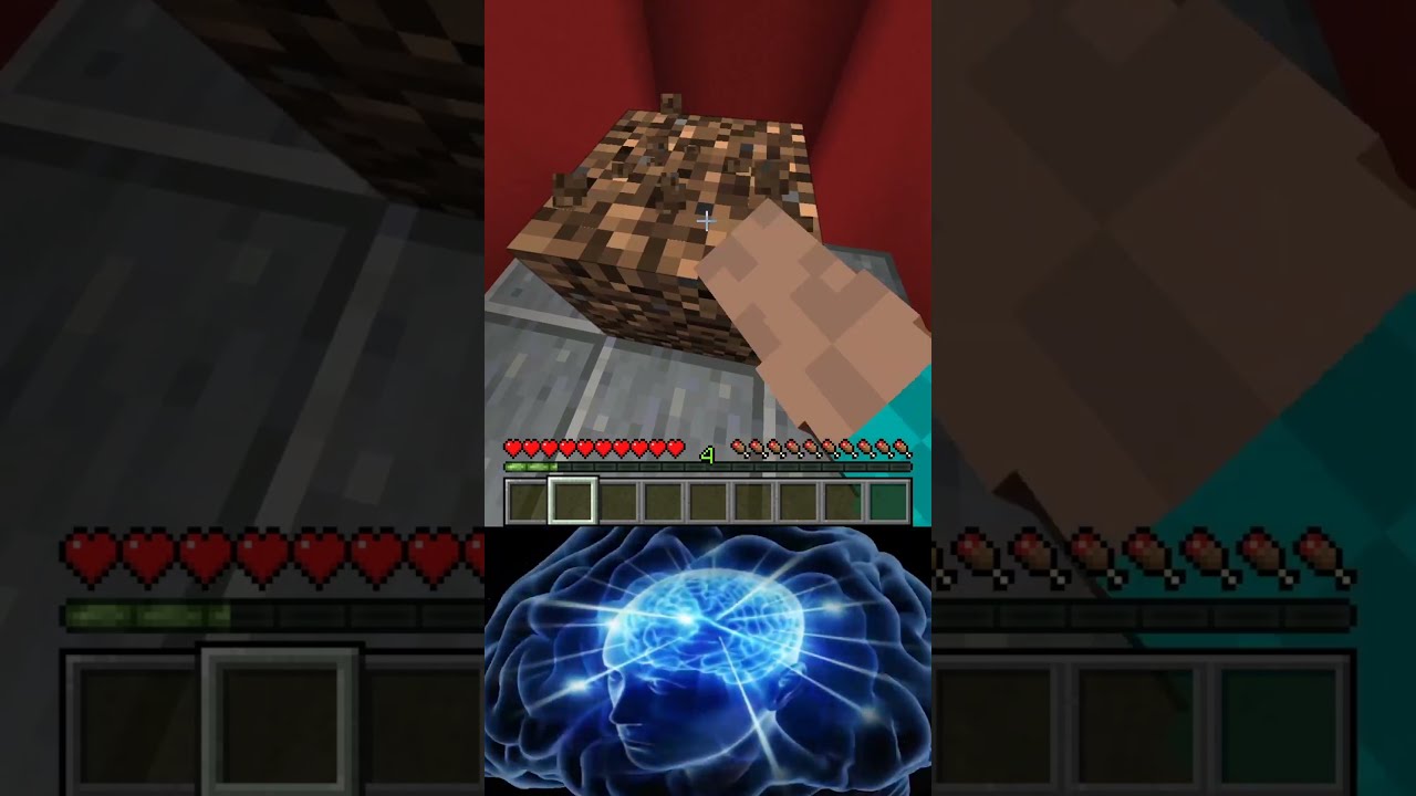  6923 IQ Vs 6969 Minecraft Worlds Smallest Violin Shorts