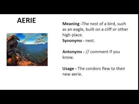 Vocabulary Made Easy Meaning of Aerie, Synonyms, Antonyms and its Usage
