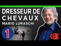 DRESSEUR DE CHEVAUX AU CINEMA - 1 - Mario Luraschi