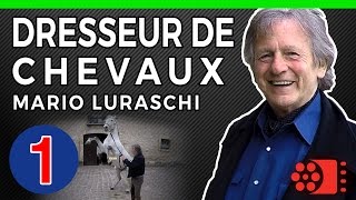 DRESSEUR DE CHEVAUX AU CINEMA  1  Mario Luraschi