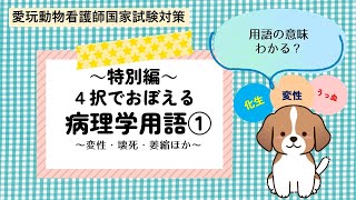 【愛玩動物看護師】一問一答　病理学用語①