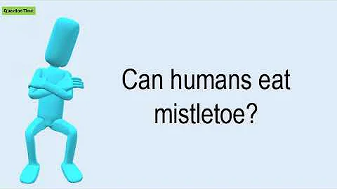 Is mistletoe poisonous if you touch it?