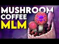 The Coffee MLM With a Side of Mushroom Blood Thinners