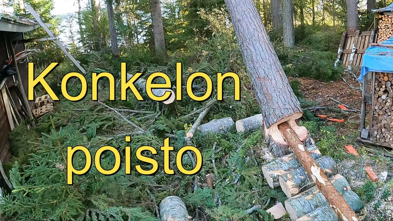 Konkelon poisto - Elä tee perässä!