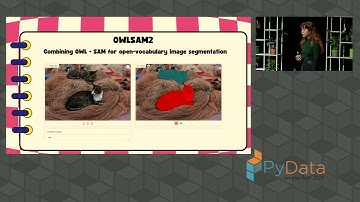 Merve Noyan - Keynote: Open-source Multimodal AI in the Wild | PyData Amsterdam 2024