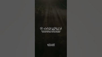 القارئ : رعد الكردي حالات واتس اب دينية 💛