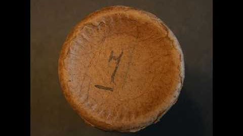 The Ladies Pantalettes - Patsy Touhey