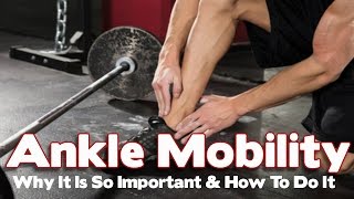 Ankle Mobility & Stability  Why It Is So Critical For Movement & How To Do It