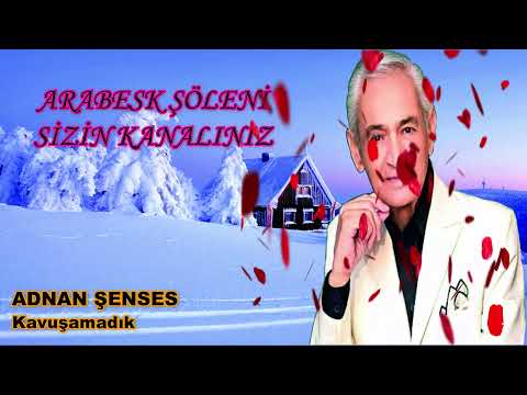 Adnan ŞENSES Kavuşamadık