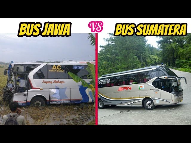 5 Perbedaan BUS Sumatera dan BUS Jawa class=