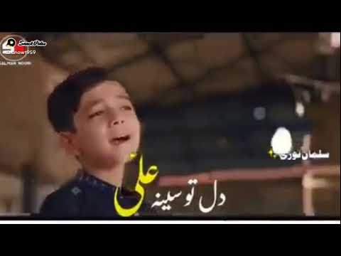 Ha Muhammad mera dil to Sina Ali