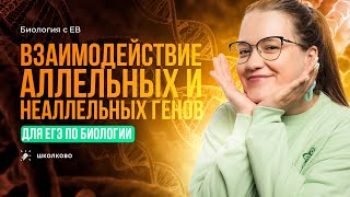 Взаимодействие аллельных и неаллельных генов. ЕГЭ по биологии 2024