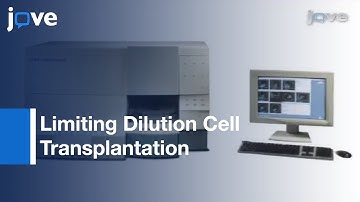 Quantifying Frequency Of Tumor-Propagating Cells In Syngeneic Zebrafish l Protocol Preview