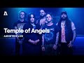 Temple of Angels on Audiotree Live (Full Session)