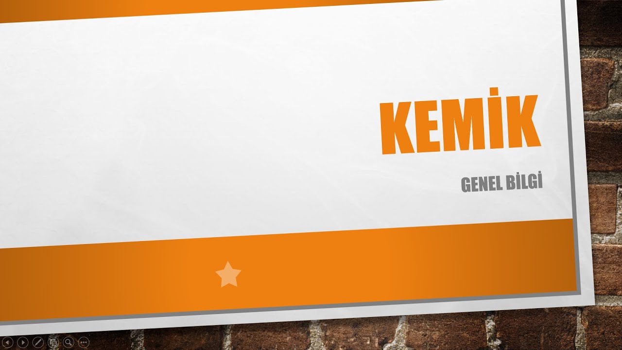 Kemikler hakkında genel bilgi