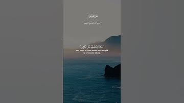 سورة المؤمنون #قران_كريم #تلاوة_خاشعة