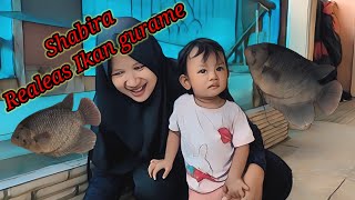 Seru | Shabira  realeas ikan gurame ke kolam bersama Bunda 😍😍