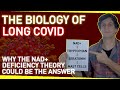 The Biology of Long Covid | Why the NAD+ Deficiency Theory Could Be The Answer