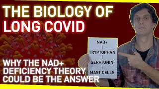 The Biology of Long Covid | Why the NAD+ Deficiency Theory Could Be The Answer