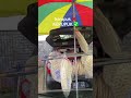 kerupuk terbesar