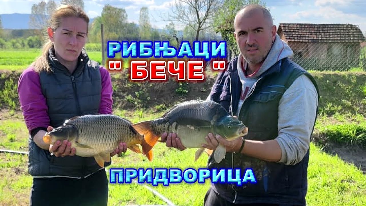 Рибњаци Бече - Придворица