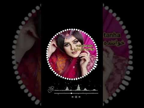 دشتی شیرازی