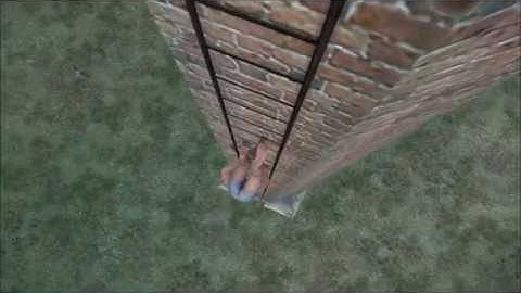 Funny DayZ ladders bug