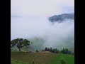 منضر ساخر ل محافضه اب اليمنيه