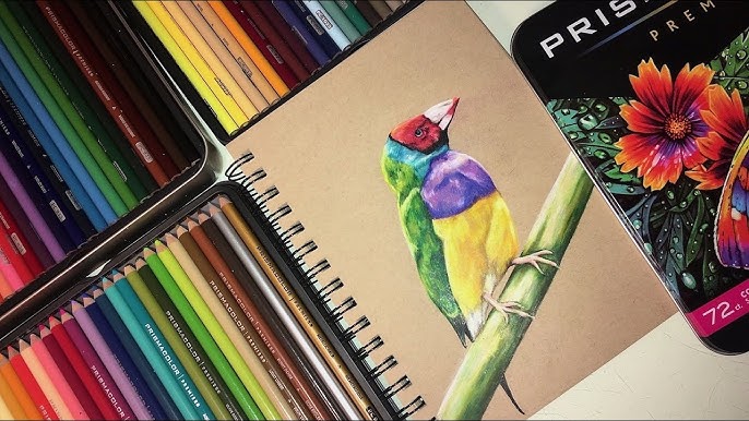 Prismacolor Premier Colored Pencil Review — The Art Gear Guide