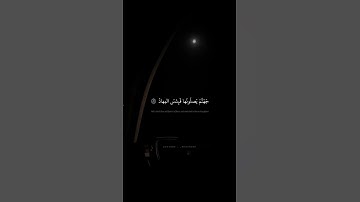 110 هذا وَإِنَّ لِلطّاغينَ لَشَرَّ مَآبٍ   محمد صديق المنشاوي   سورة ص
