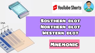 Southern blot vs Northern Blot vs Western blot -mnemonic | Biochemistry | #shorts