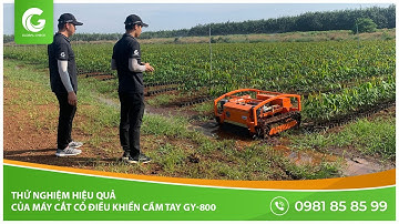 Thử nghiệm hiệu quả của máy cắt cỏ điều khiển cầm tay GY-800