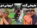                                                                        نجومي