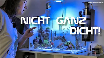 Welche Dichte im Meerwasseraquarium?