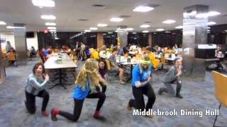 UMN Dance Marathon 2013 Promo Video