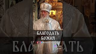 ☦️❤БЛАГОДАТЬ БОЖИЯ!!!❤🕊️