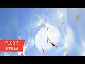 승관 (SEUNGKWAN) '민들레' Pre-Listening