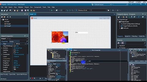 الفكرة 12 ║إظهار وإخفاء كلمة المرور باستخدام مكون Image في الدلفي بأحسن وأبسط الطرق