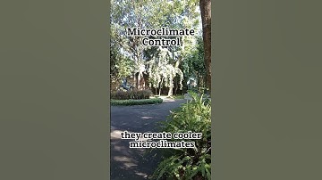 Microclimate Control @ ATO URBAN #long