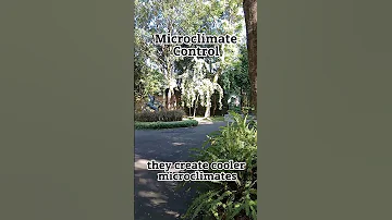 Microclimate Control ATO URBAN Long 