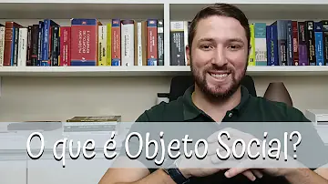 O que é objeto do estabelecimento MEI?