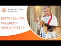 💉 Как выполнить внутривенную инъекцию через катетер собакам? Внутривенная инъекция собаке. 12+